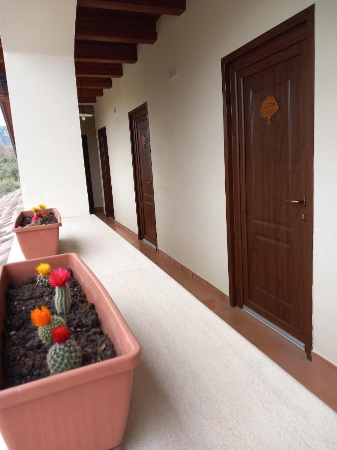 Agriturismo L'Ulivo Падула Екстериор снимка