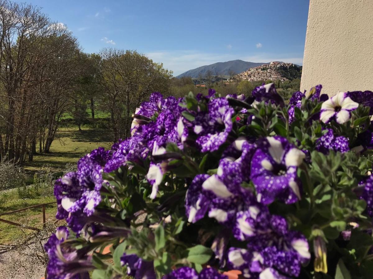 Agriturismo L'Ulivo Падула Екстериор снимка