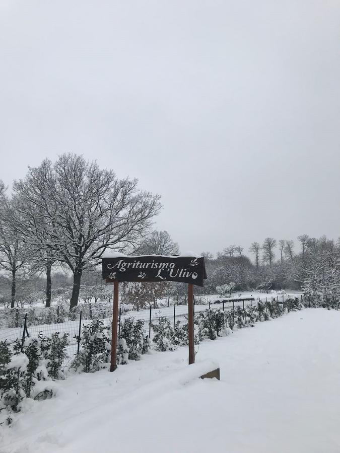 Agriturismo L'Ulivo Падула Екстериор снимка