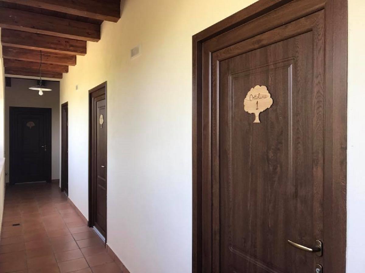 Agriturismo L'Ulivo Падула Екстериор снимка